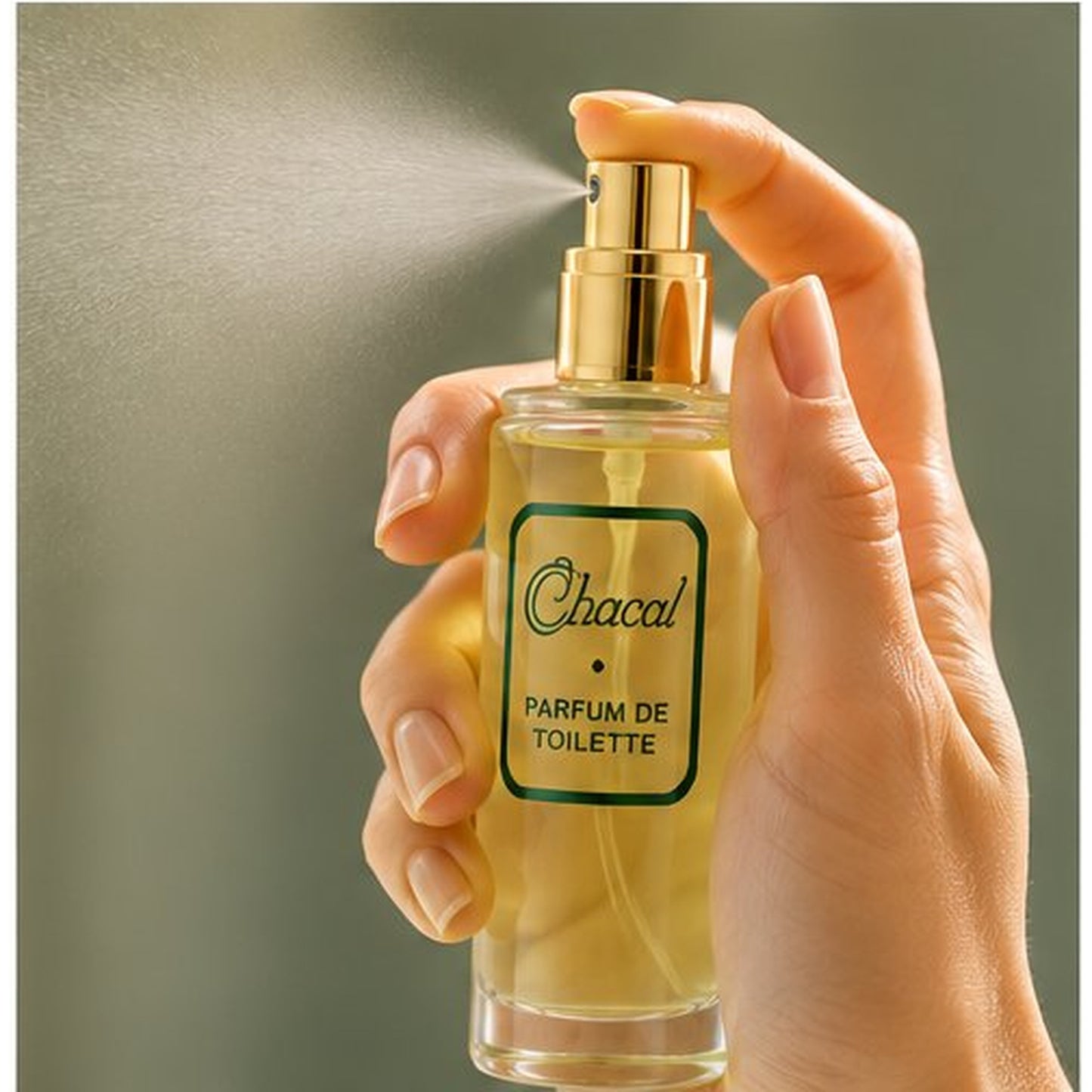 Chacal perfume